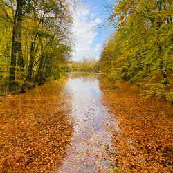 Herbstblätter I